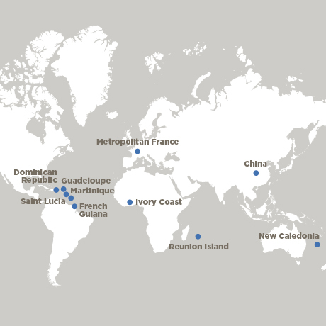 Industrial and diversified activities