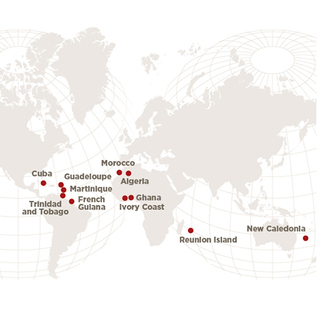 Automobile retail map